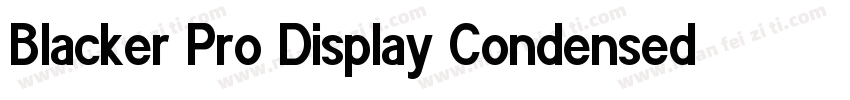 Blacker Pro Display Condensed Trial字体转换